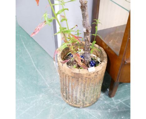 Terracotta garden planter  