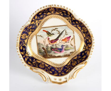 A Bloor Derby shell-shaped dessert dish, painted with birds by Richard Dodson, within a blue and gilt border, 26cm wide CONDI