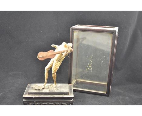 A Victorian novelty frog taxidermy composition - standing frog playing guitar, on hardwood plinth, in hardwood display case -