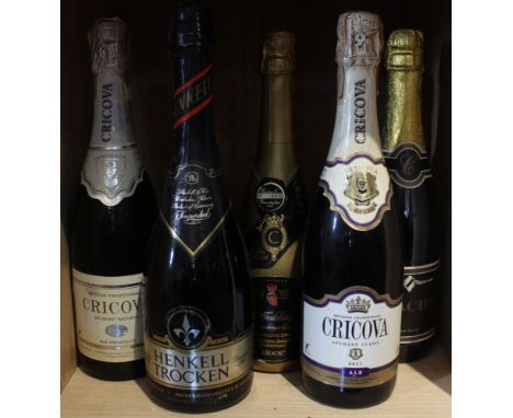 Five bottles of sparkling wine including Cricova from Moldova (5)