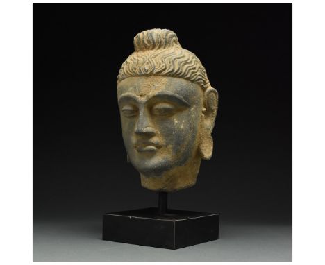 100 – 300 AD. Gandharan. Magnificent yellowish-grey schist head of a Buddha. This sculpture features thick, rich lips, an aqu