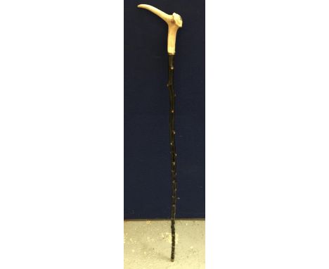 A VINTAGE EBONISED WALKING STICK WITH HORN EFFECT BIRD TOP WITH JEWELLED DESIGN EYES 