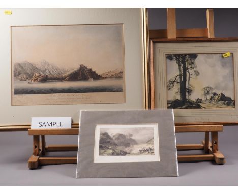 A pair of 19th century hand-coloured prints, views of Porto Ferrajo, in gilt strip frames, a limited edition print of a tree 