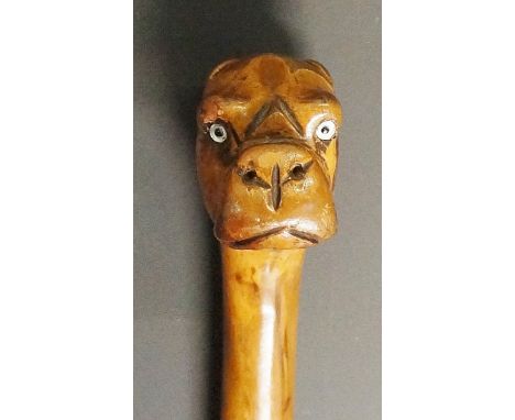 A 19th Century walking stick, the rootball terminal carved as a boxer dog's head, silver coloured metal belt style collar to 