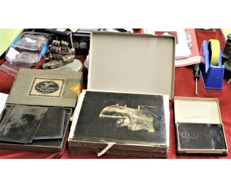 German 1930s Anthropology and Odonatological Glass slides in four boxes used for teaching students who study the area, both i