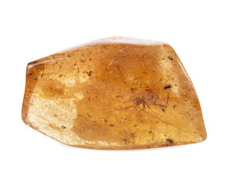 LARGE BALTIC AMBER NODULE WITH INSECT INCLUSIONS,from an ice flow, excavated in the 19th century in Whitby, North Yorkshire, 