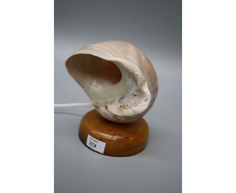 An abalone shell, mounted as a lamp on a circular wood plinth, 19cm