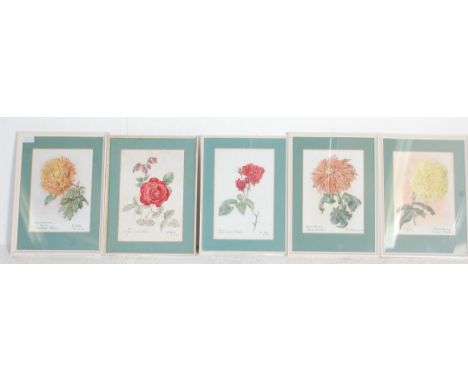 A collection of 5 watercolour botanical paintings by Dora Mills dating to the 1960’s all pen and ink with colours signed by t