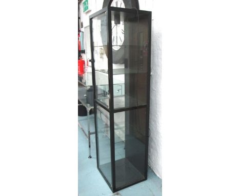 TALL DISPLAY CABINETS, a pair, bespoke made, having two doors with adjustable glass shelves interior light and top lock, 185c