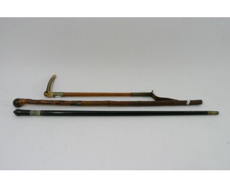 An old sword stick, a carved bamboo stick and a riding crop