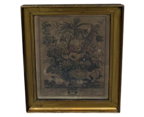 AFTER HENRY FLETCHER (1710-1750): A BOTANICAL PRINT ALONG WITH A SIMILAR EXAMPLE BY JAMES SMITH43cm x 33cmFramed and glazed 5