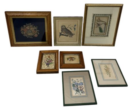 BOTANICAL ENGAVINGS AND FLORAL EMBROIDERIES, ALONG WITH A PRINT OF AN OWLEach framed and glazed, largest frame 48cm x 36cm