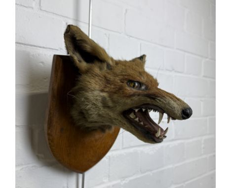 A TAXIDERMY FOX MASK BY ARMY AND NAVYLabelled to verso. 