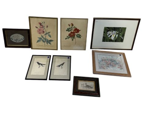 A GROUP OF PRINTS TO INCLUDE BOTANICAL