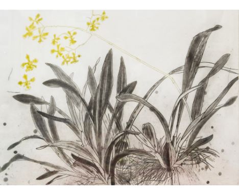 Elizabeth Blackadder RA (b.1931), Orchid Oncydium, etching, number 44 of 50, signed in pencil, 64cm x 85cm, framed
