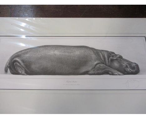Gary Hodges - Tropical Slumber, limited edition print, 20" x 6", number 678/860, signed to the lower right margin, unframed 