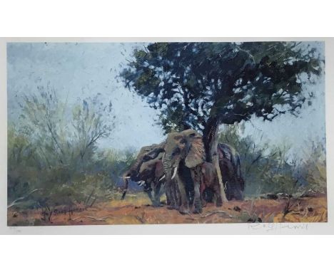 Rolf Harris (b. 1930) signed limited edition print, 'Protecting the Little Ones, Kenya', signed and numbered, 28 x 49cm, glaz