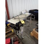 Lot of (2) Conveyor Sections with Motors