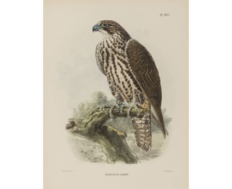 Birds.- Sharpe (Richard Bowdler) Scientific Results of the Second Yarkand Mission: Aves, 24 hand-coloured lithograph plates b