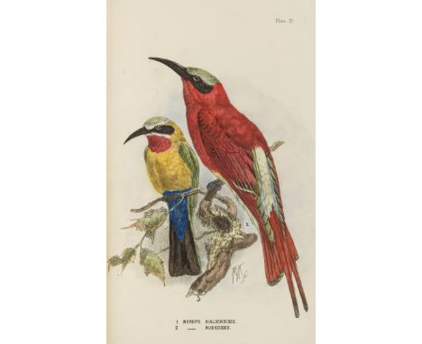 Birds.- Layard (Edgar Leopold) The Birds of South Africa, edited by R. Bowdler Sharpe, 12 hand-coloured lithograph plates by 