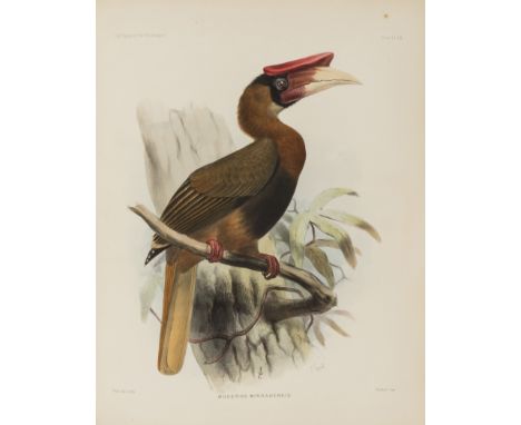 Birds.- Thomson (Sir Charles Wyville) Report of the Scientific Results of the Voyage of H.M.S. Challenger, vol.II, part VIII 