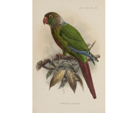 Birds.- Sclater (P.L.) and W.H. Hudson. Argentine Ornithology, 2 vol., first edition, one of 200 copies signed by the authors