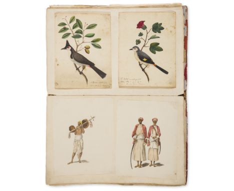 India.- Company School (circa 1790-1810) and Welland (Rachel, active 1798-1804) A composite album with over 115 drawings and 