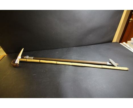 Ivory and vertebrae walking stick