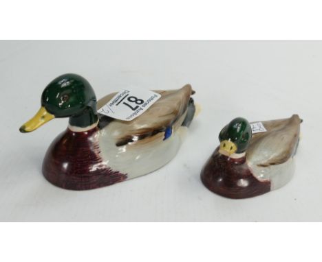 Beswick model of a mallard duck by peter Scott 1518-2: and a smaller version (missing end of beak) (2)