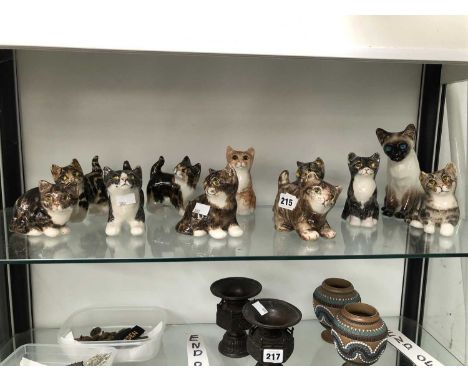 A collection of eleven Winstanley kittens. 