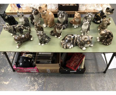 A collection of Winstanley cats and one other.