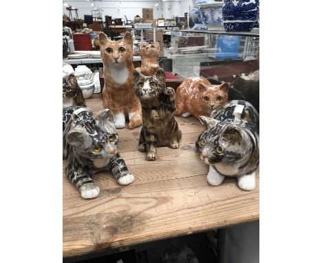 A collection of Winstanley cats and one other
