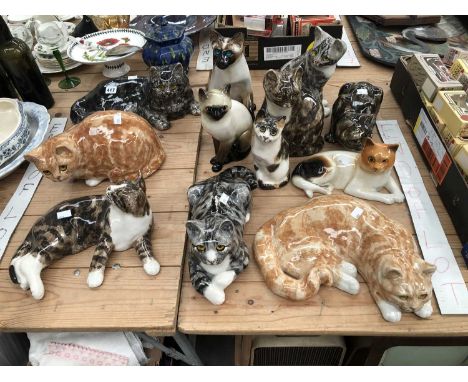 A collection of Winstanley cats and others