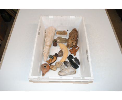 A box containing stone cutting tools, fossils etc.