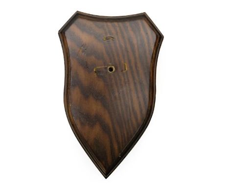 Taxidermy: Shields, fifty matching dark and light oak shields, 12cm by 18.5cm, (50) used.