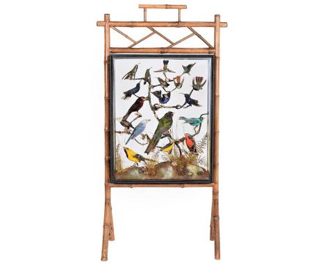 Taxidermy: A Late Victorian Diorama Firescreen of Tropical Birds, in the manner of Rowland Ward, 166 Piccadilly, London, a su