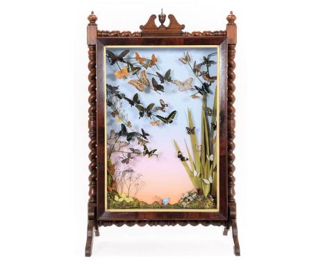 Entomology Furniture: A Late Victorian Framed Diorama Firescreen of Tropical Butterflies, a wonderful composed diorama of var