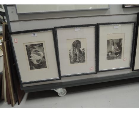 A selection of vintage wood block style prints of animals