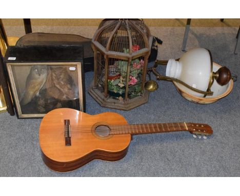 A guitar and case; bird cage; Victorian taxidermy case containing a barn owl and tawny owl; wash bowl; and a hanging lamp