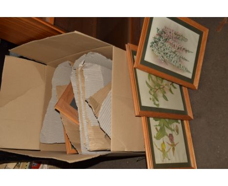 BOX OF PICTURES INCLUDING BOTANICAL PRINTS IN LIGHT OAK FRAMES