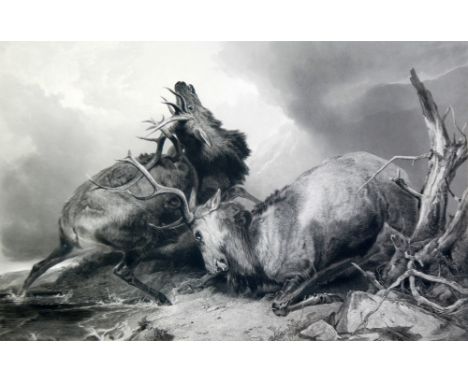AFTER R ANSDELL  LARGE BLACK AND WHITE LITHOGRAPHIC PRINT  of rutting stags entitled "The Combat",  published 1848,  28" x 39