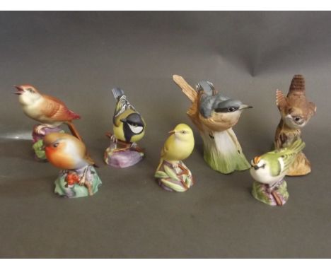Five Royal Worcester studies of birds to include 'Robin 3197', 'Wood Warbler 3200', 'Great Tit 3335', 'Nightingale 3337', and