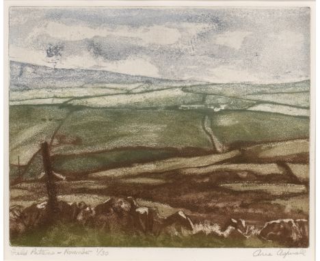 Anne Aspinall (b. 1949)'Field Patterns - November', etching with aquatint in colours, pencil signed in the margin, titled and