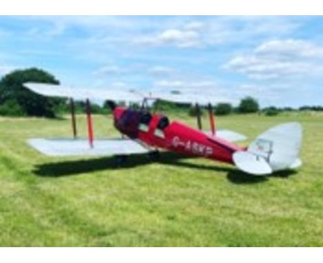 Air Experience Flight (Tiger Moth, Chipmunk, Cap10) Experiences at Damyns Hall Airfield (close to Upminster Tube) - Either tw