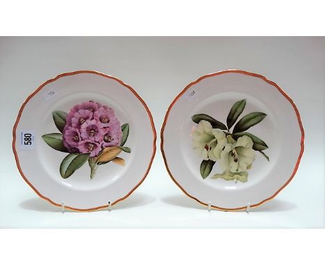 Pair of modern Spode botanical painted cabinet plates, one decorated in Dalhousiae, the other Hodgsoni, diameter 23cm.