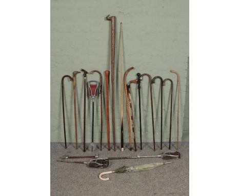 A good collection of walking and shooting sticks to include silver tipped example (hallmarked London 1933), Featherwate, Crow