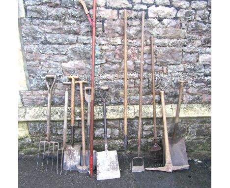 A collection of mainly vintage long handled gardening related tools including a number of ashwood T shaped examples