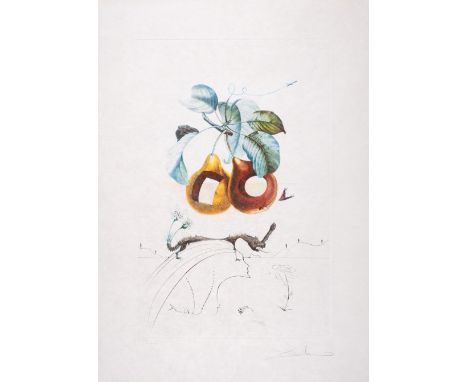 Salvador Dalí (1904-1989)Les Fruits trouées, from Flordali (Field 69-11F; M&L 349)Photolithograph printed in colours with eng