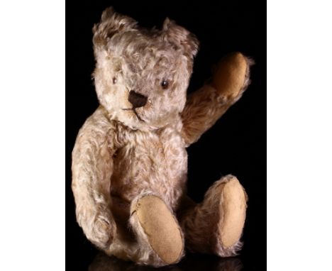 Steiff (Germany) golden mohair jointed teddy bear, amber and black glass eyes, pronounced snout with vertically brown stitche