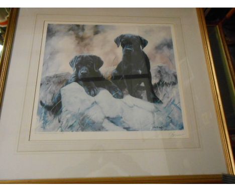 JOHN TRICKETT Limited Edition Dog Print no 280 of 850  18 x 15 inches. signature in margin